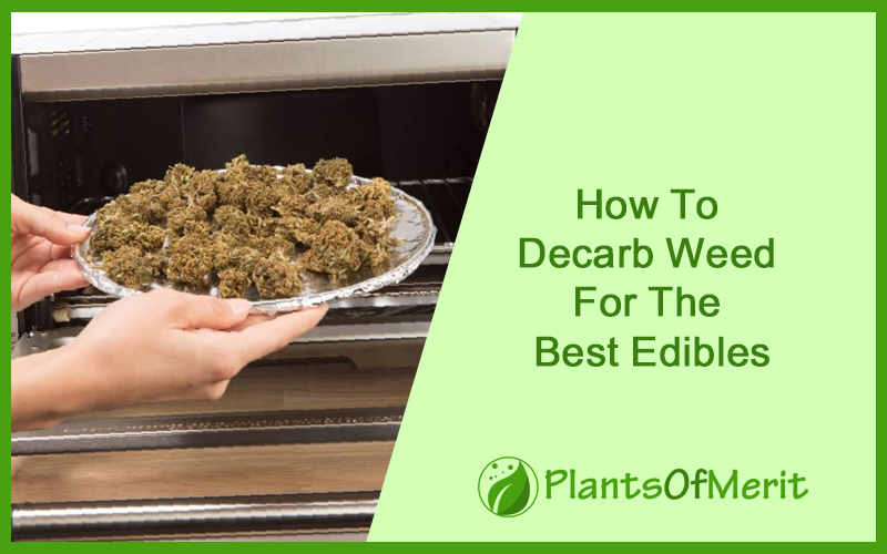 How to Decarb Weed for the Best Edibles