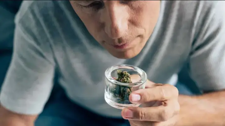 Can you control the smell of the cannabis plant? 