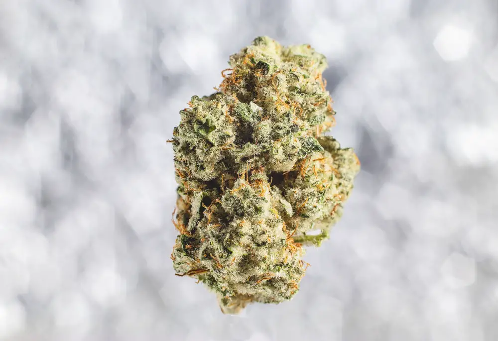 Is there any difference between marijuana buds and flowers?