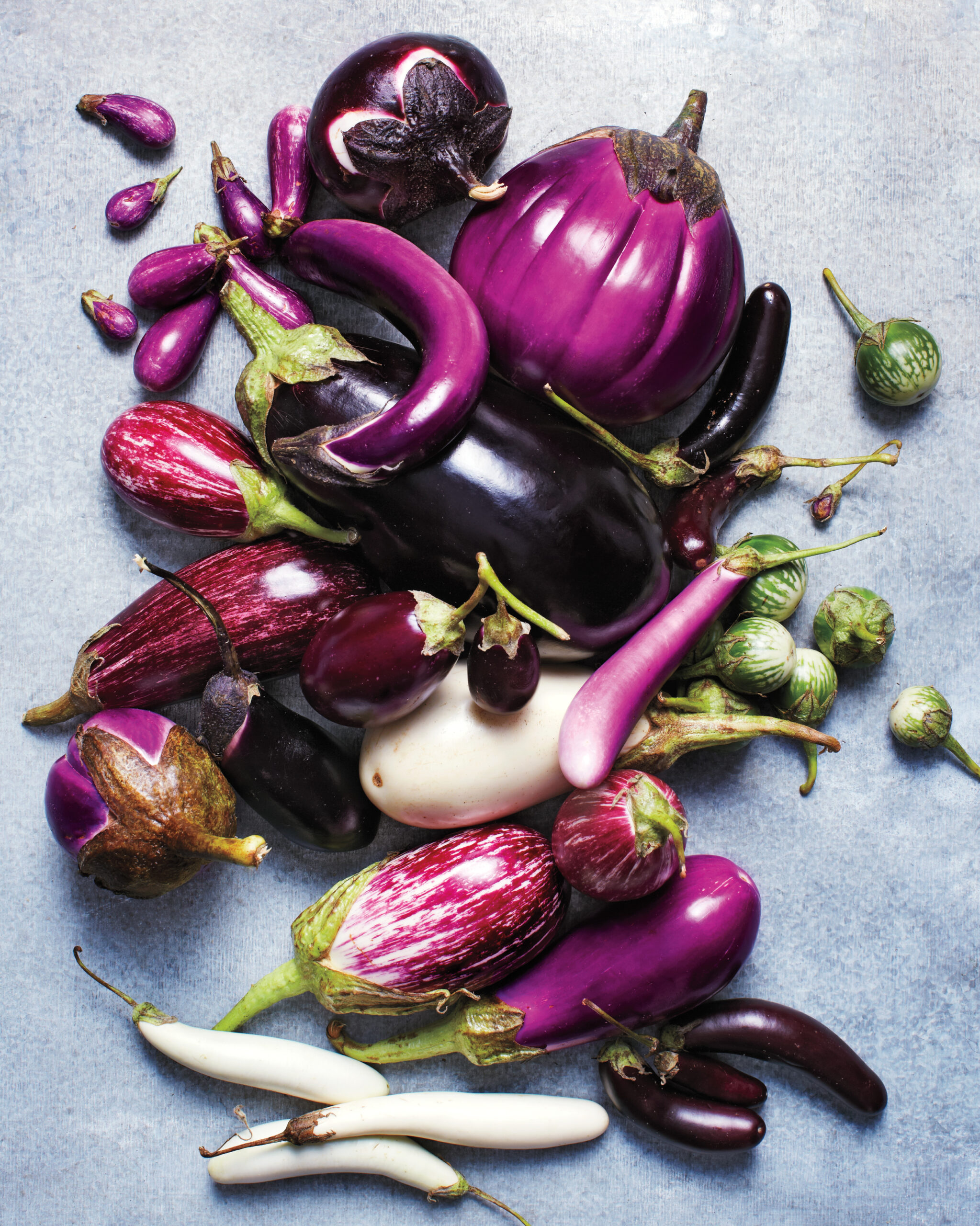 Eggplant Companion Plants to Try