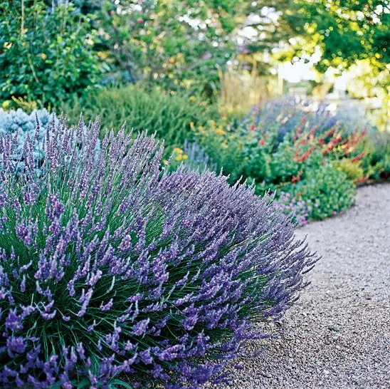 What should you keep in mind while Xeriscaping?