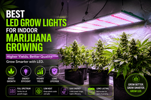 Best LED Grow Lights